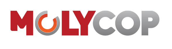 Logo cliente